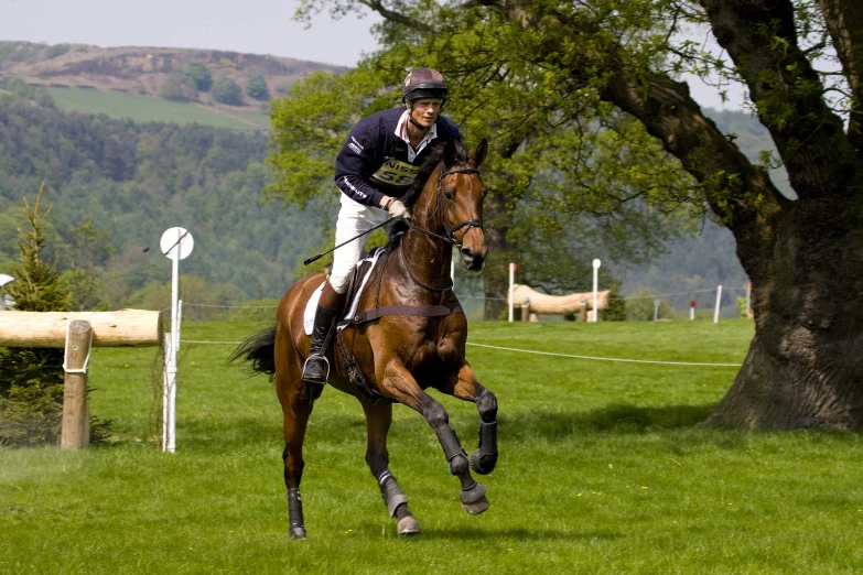 a person on a horse racing on some grass