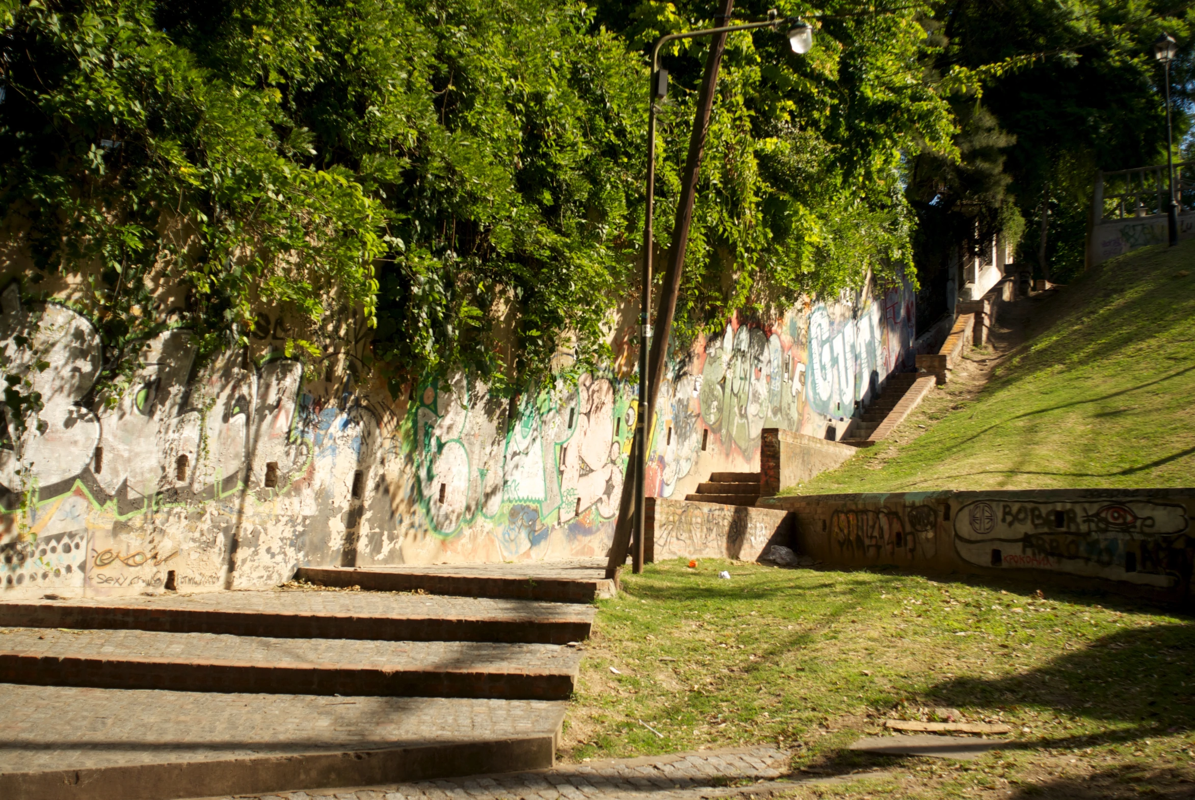 an area has many trees and graffiti on it