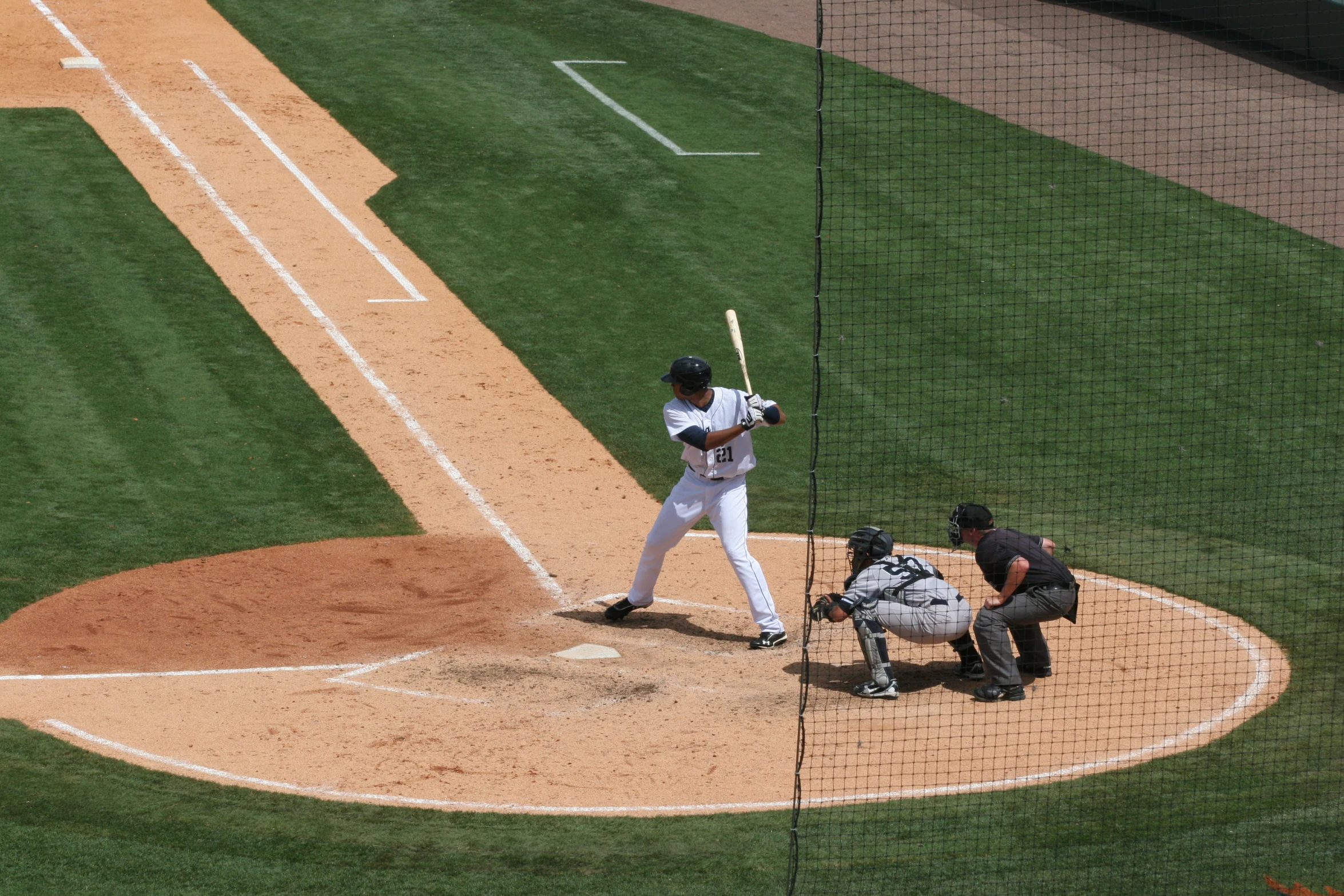 a man is holding a bat during a baseball game