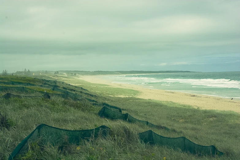 a large field with green grass near the ocean