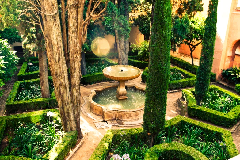 a garden with lush green trees and bushes