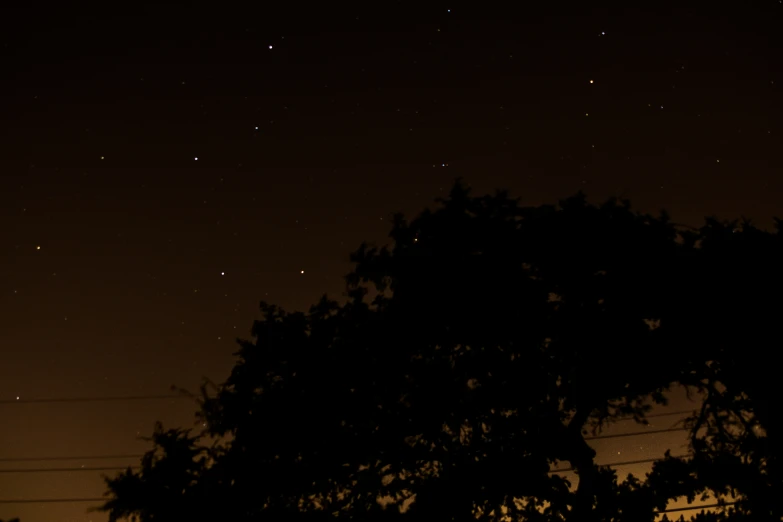 the tree nches of trees are silhouetted against a clear night sky