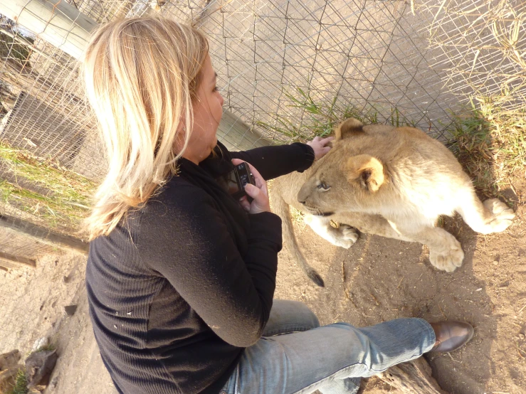 a woman takes a picture of a lion cub