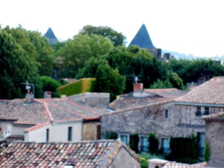 there is a white bird sitting on the roof of a house