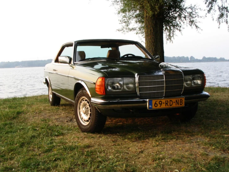 an old mercedes sits by a tree in a field