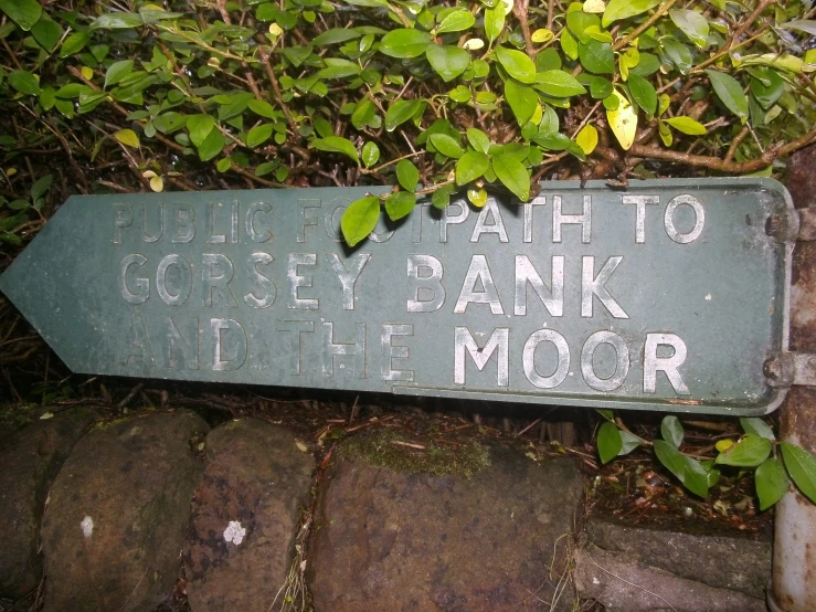 a street sign sitting on the sidewalk by some plants