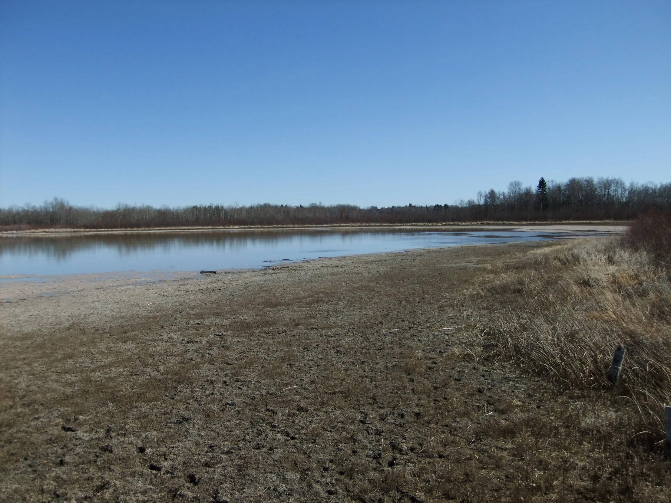 a small lake with an open field in the foreground