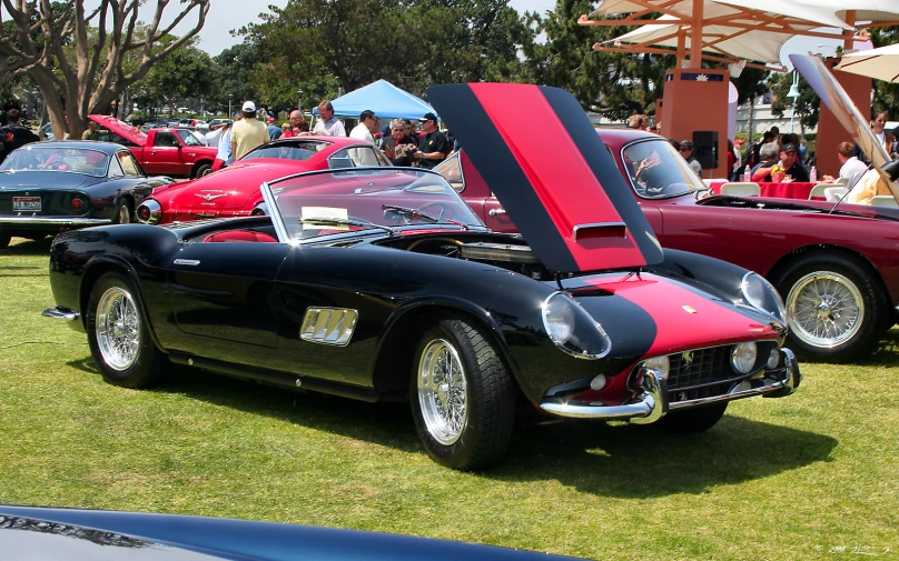 some very nice looking cars on the grass