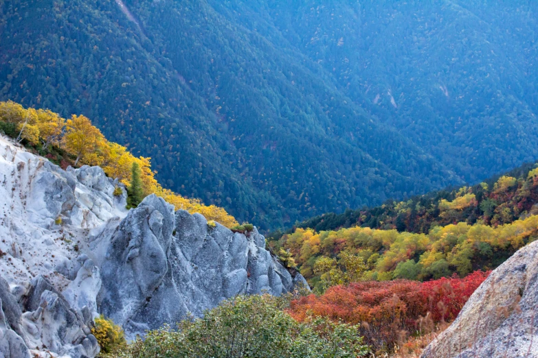 a scenic picture of trees and rocks with colorful foliage