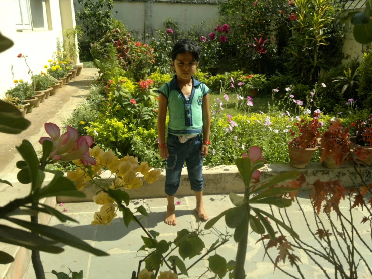 little boy standing outside in front of colorful flowers