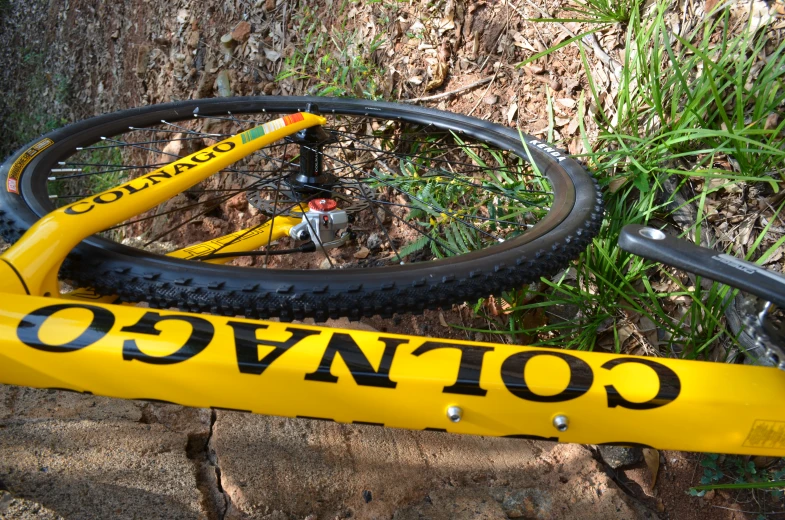 a bike leaning against a rock wall in the woods