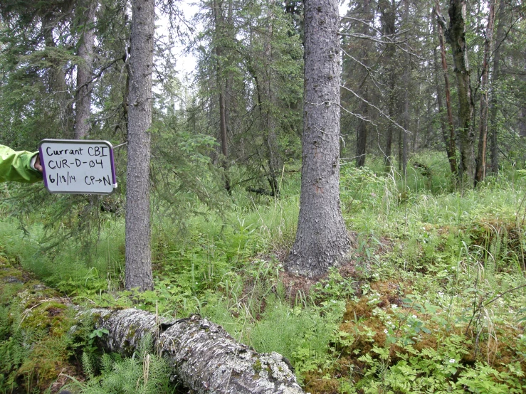 a man with a green jacket leaning on a pole by a sign