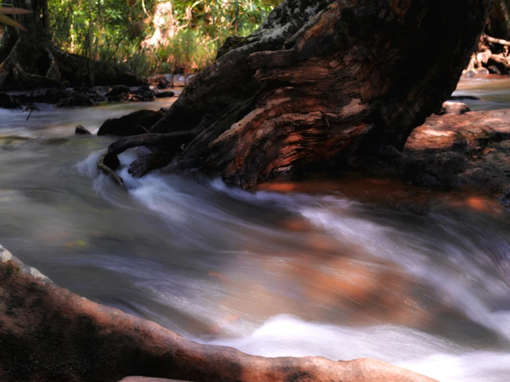 a stream with rocks and trees on either side