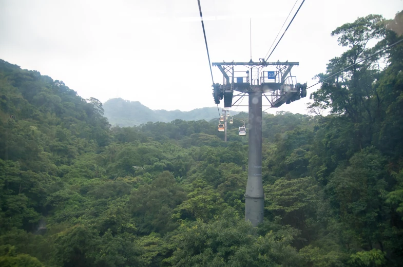 a ski lift is high above the trees