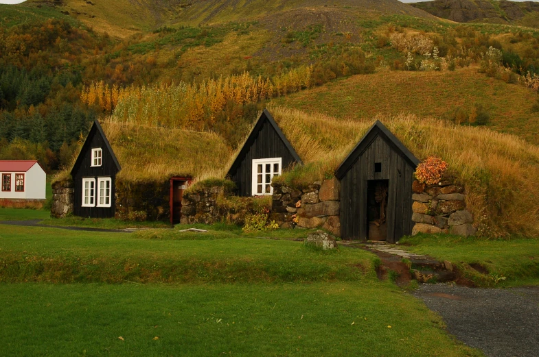 three small black and white buildings by some grass