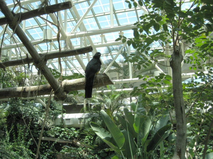 a large bird is standing on a nch in a building