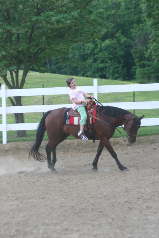 two horses are running down the path together