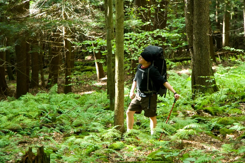 a young person hiking through the woods