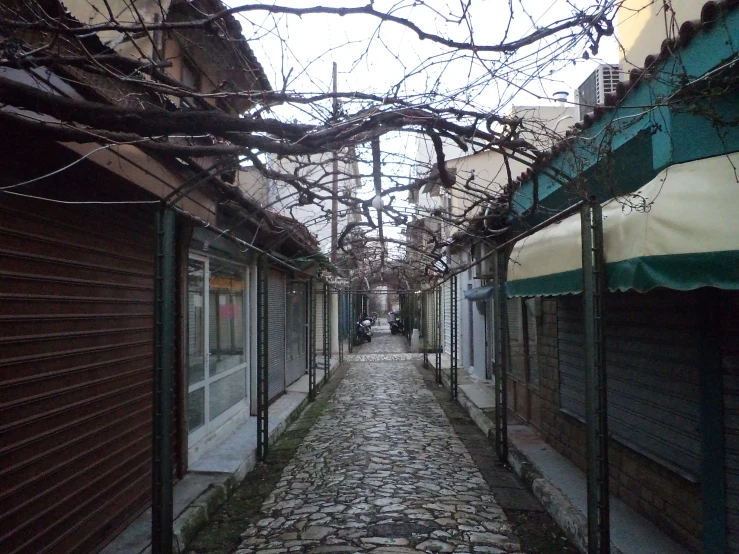 an old cobble stone road with some trees on each side