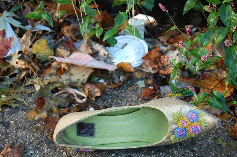 shoes lay on the ground among flowers and leaves