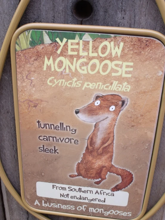 yellow mongoose sign with picture on it