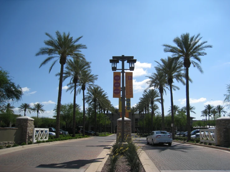 cars driving down an empty street near palm trees