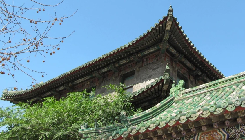 this is a building with a beautiful green roof