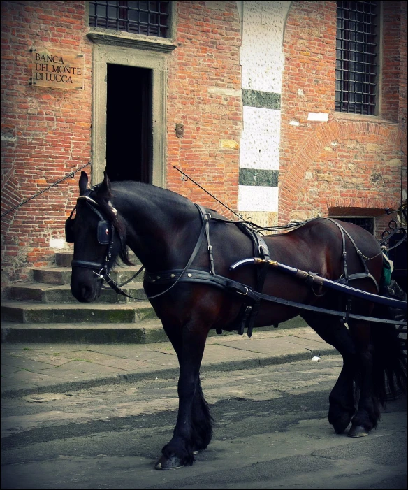 a horse drawn carriage parked in front of a building