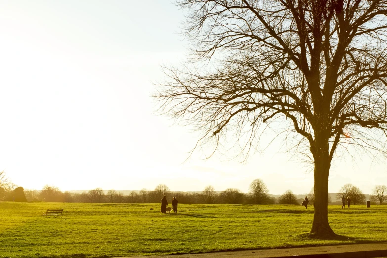 a couple of people walking down a road