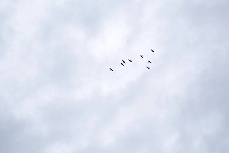 six birds flying through the clouds in a circle