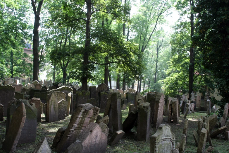 many headstones in the middle of a wooded cemetery