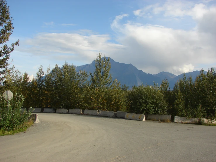 trees line the middle of the road in front of a mountain