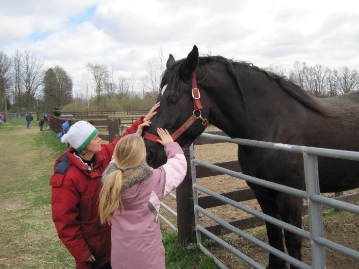 two women petting a horse over the fence