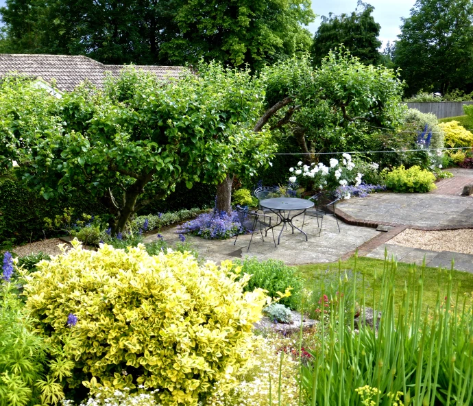 a garden filled with lots of different types of plants