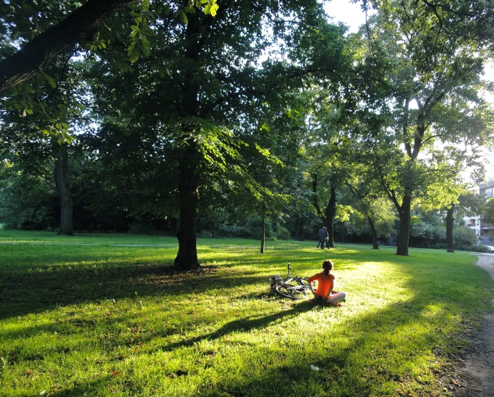 the child sits alone in the grass by the trees