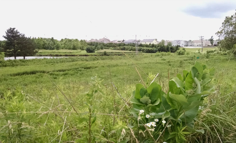 a very large field with a house and water in the distance