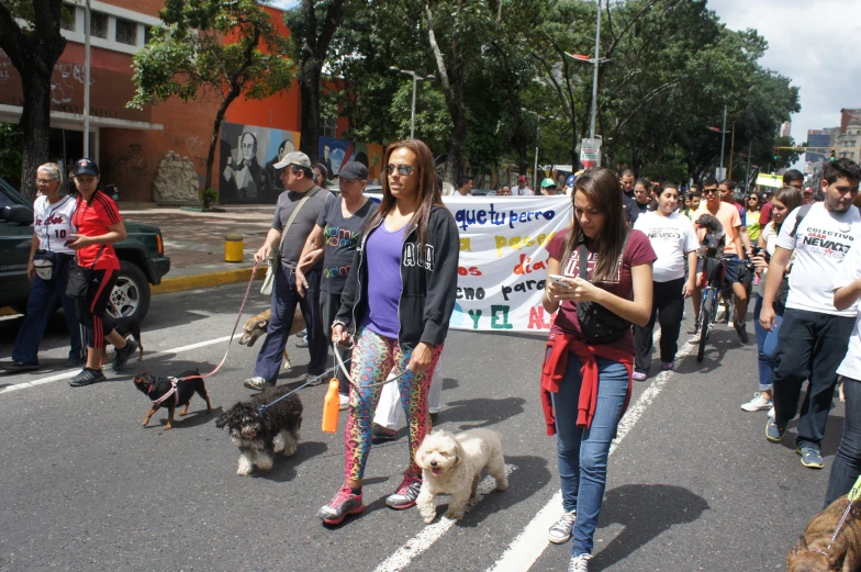 people walking their dogs in the street, during a march