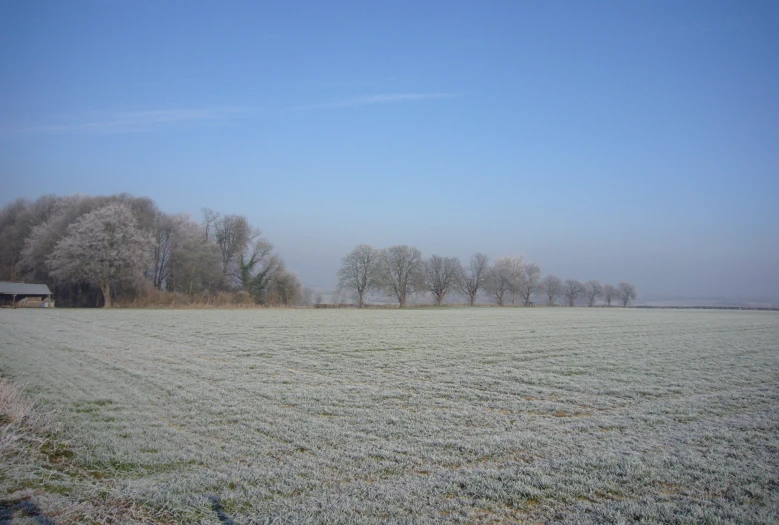 a field that has a very thin grass cover