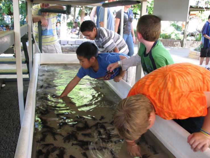 several children stand at the water edge looking down