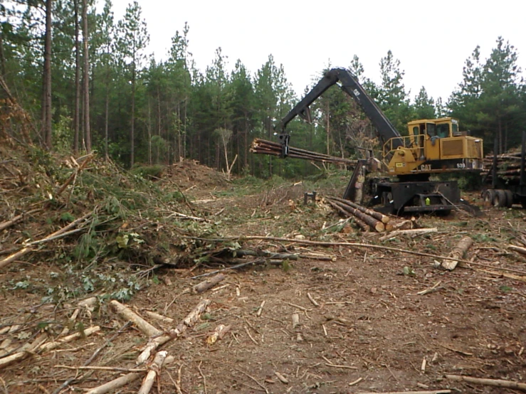 a machine removing down wood in the woods