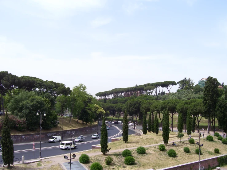 there is an image of a tree lined street