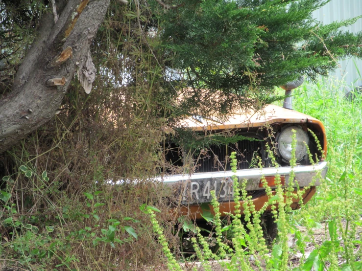 a car is sitting abandoned near some trees