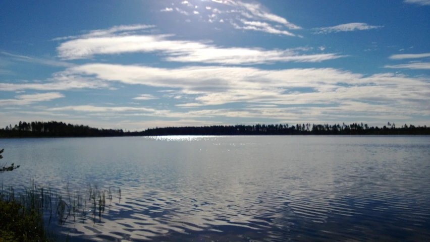 water that is reflecting the sky and trees