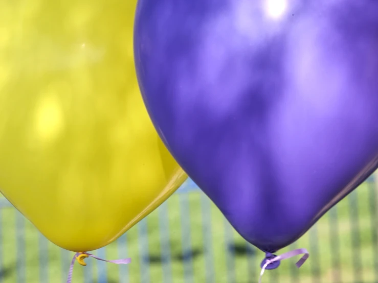 two large balloons with a small purple one