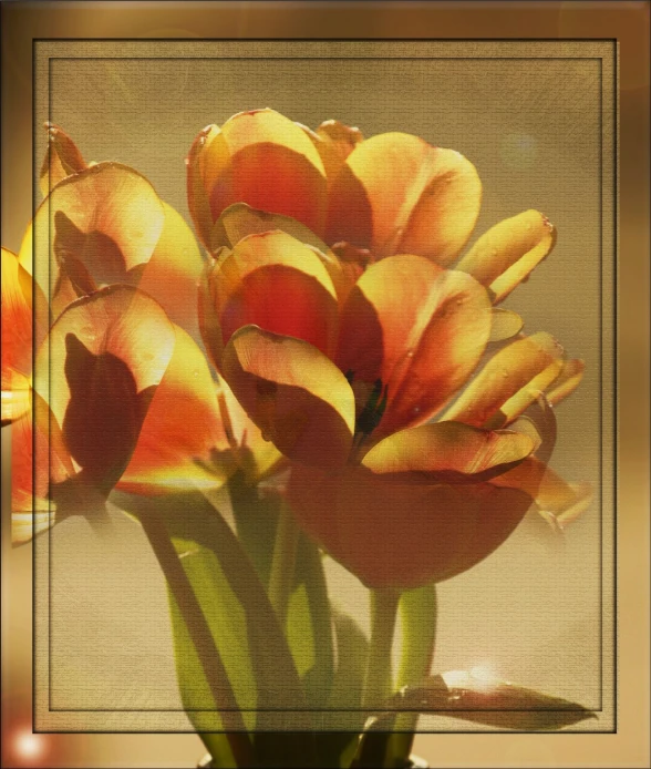 a large orange flower that is in a glass vase