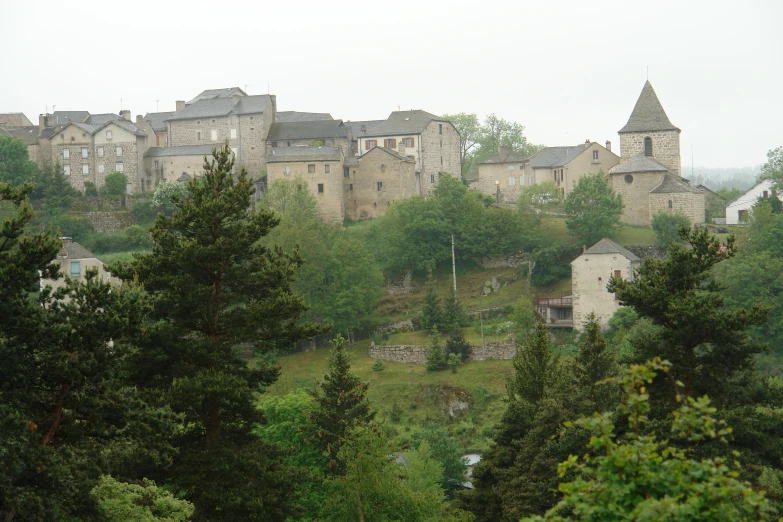 some houses are in the distance with many trees on a hill