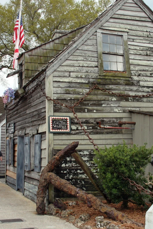 an old wooden shack with a bunch of nches leaning up against it