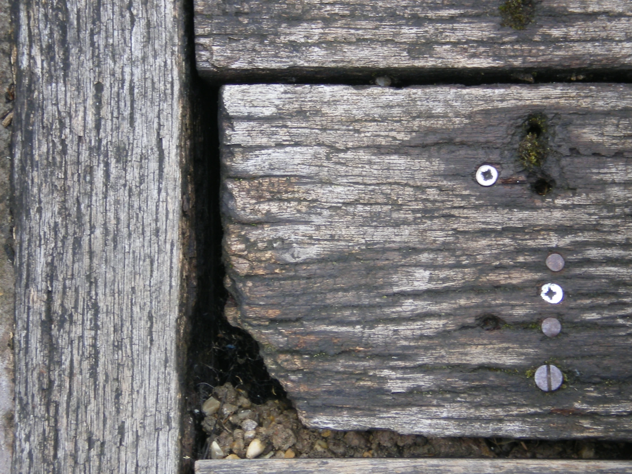 close up of wood showing several ons and pebbles