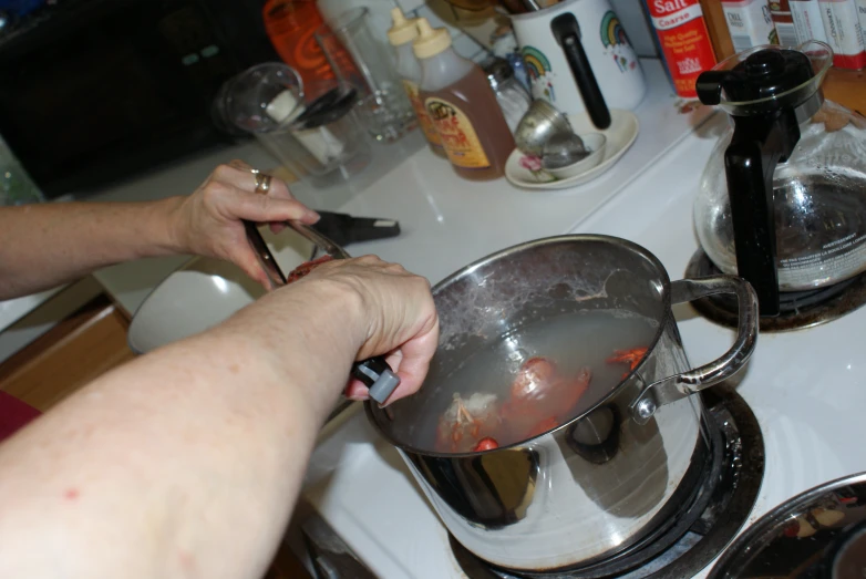 a person standing at a kitchen sink stirring food