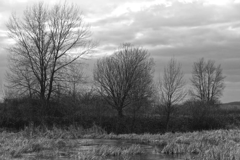 black and white po of an open field